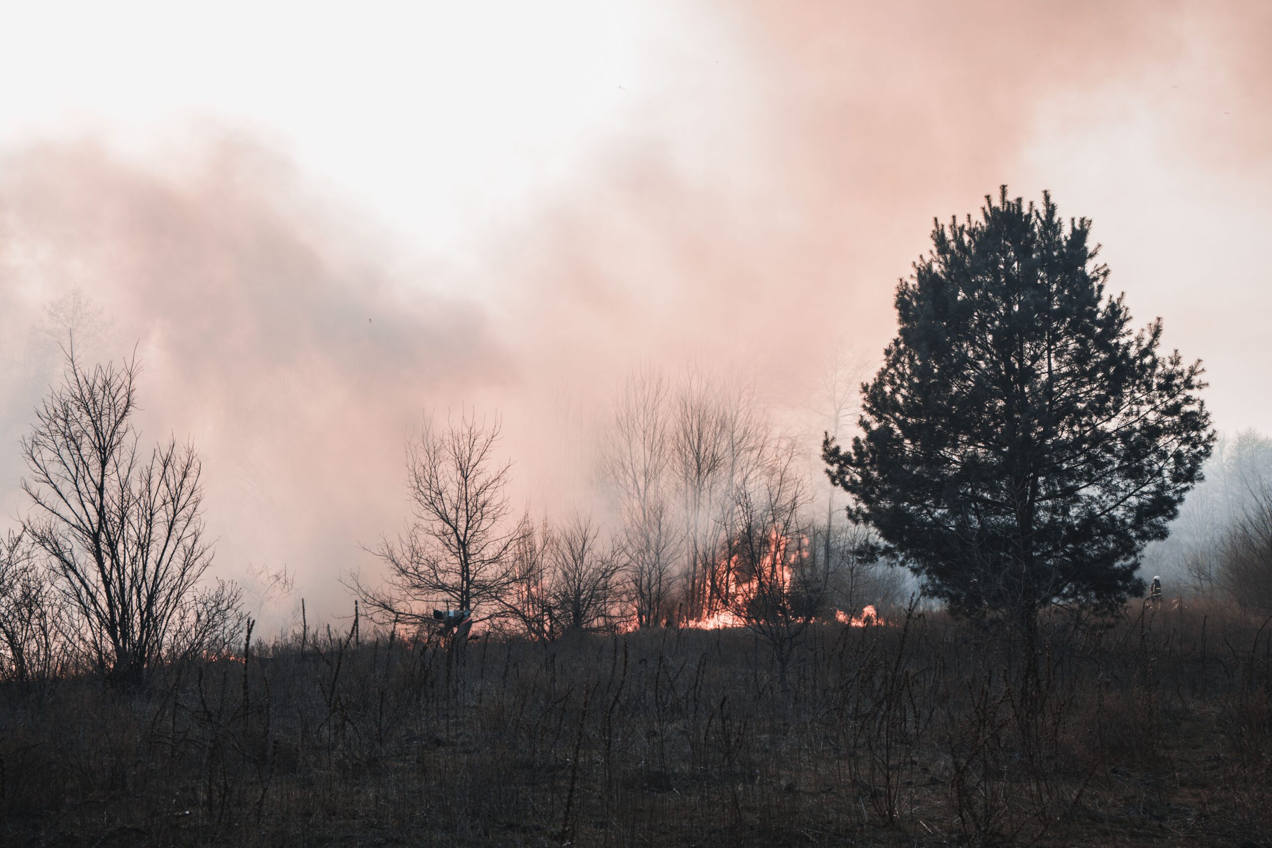 Working Outdoors in Wildfire Smoke: Your Legal Rights